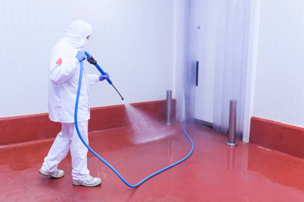 Best Warehouse Cleaning  in Sudden Valley, WA